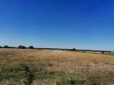 Teren arabil de vanzare-cumparare cu cer senin Moara Vlasiei Ilfov